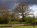 image0004.jpg