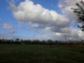 IMG_20150517_175253.jpg