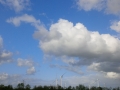 IMG_20150517_175328.jpg