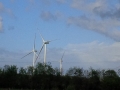 IMG_20150517_175400.jpg