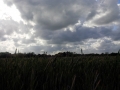 IMG_20150517_180256.jpg
