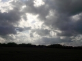 IMG_20150517_180509.jpg