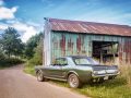 Mustang_vor_der_Scheune
