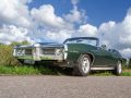 Pontiac_auf_der_Wiese